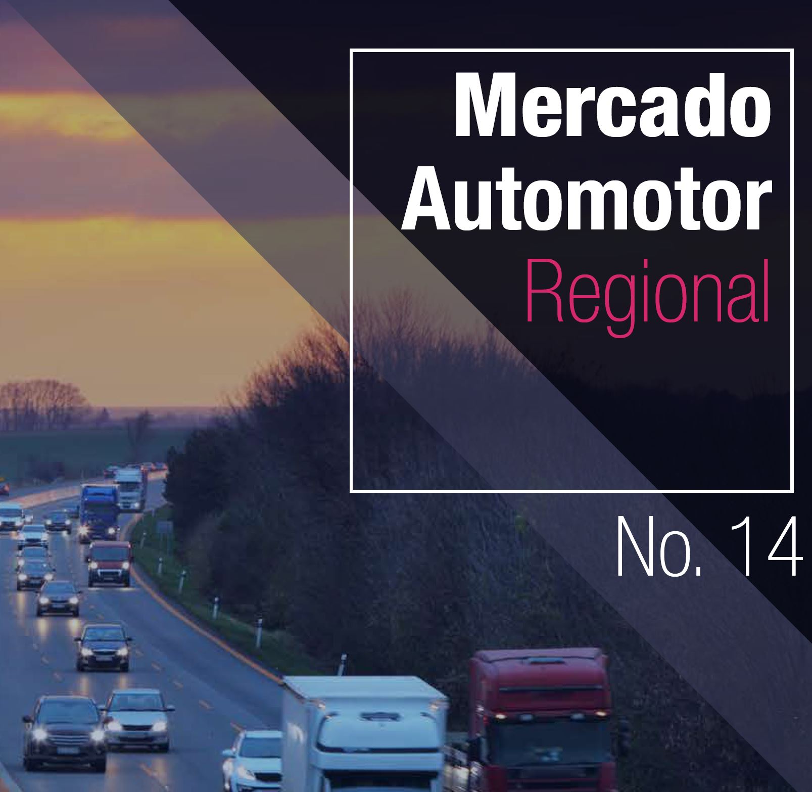 Mercado Automotor Regional – Nº 14